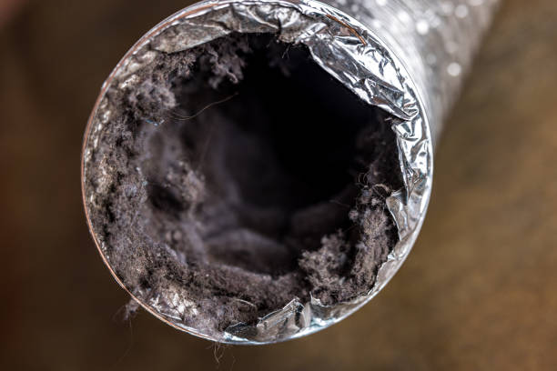 Best Residential Air Duct Cleaning  in Morro Bay, CA