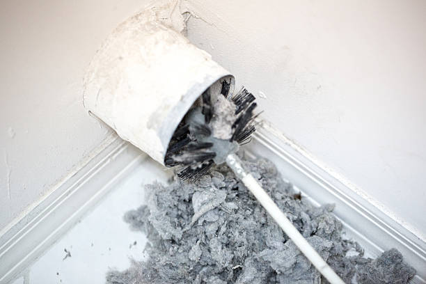 Air Duct Mold Removal in Morro Bay, CA